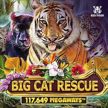 Redtiger : Big Cat Rescue Megaways - SOLIDPLAY99