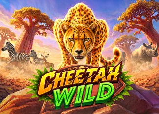 Cheetah Wild - SOLIDPLAY99