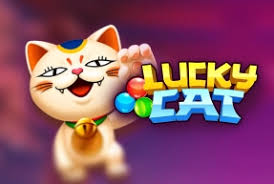Lucky Cat - SOLIDPLAY99